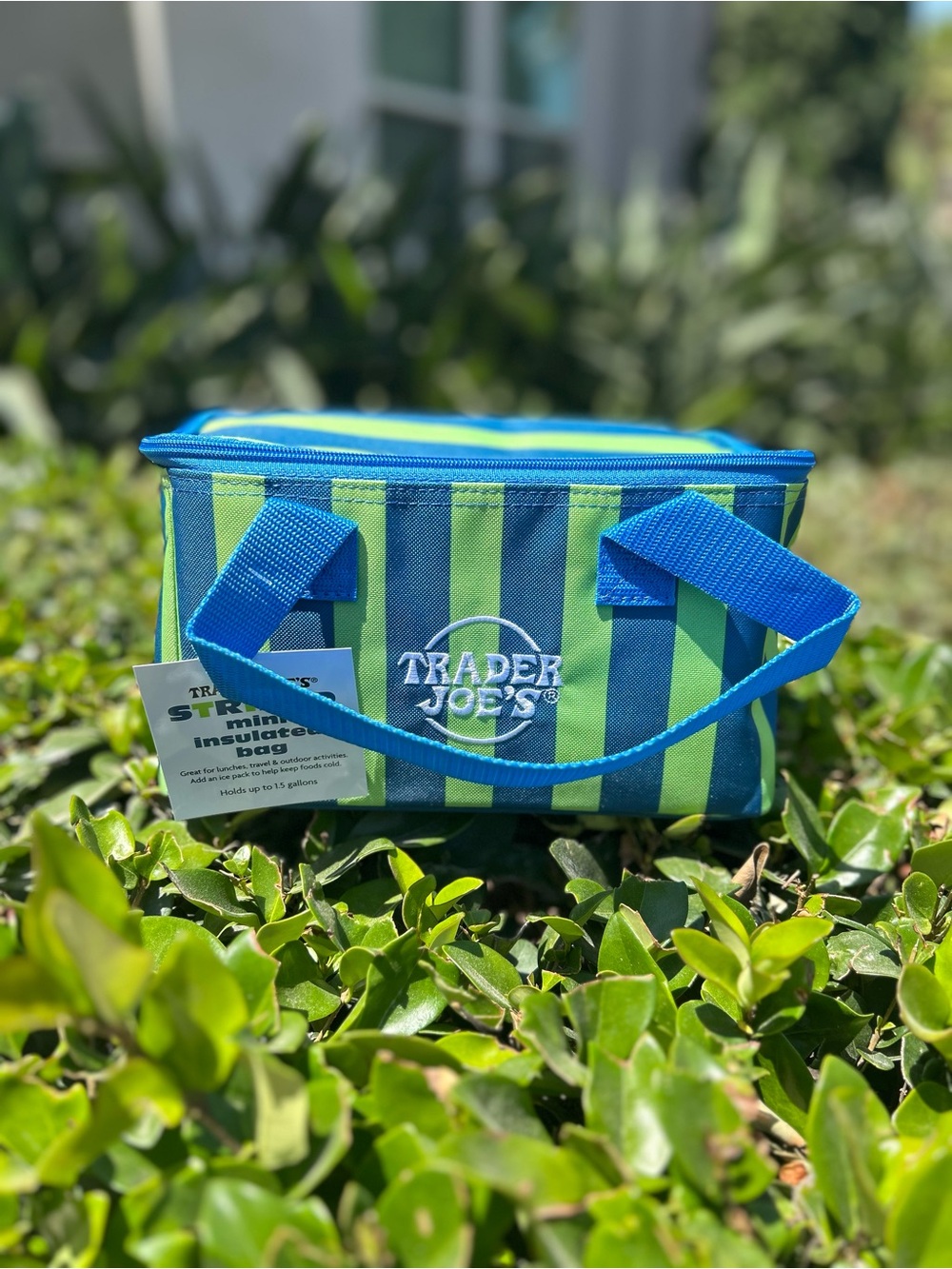 Trader Joe’s mini bag